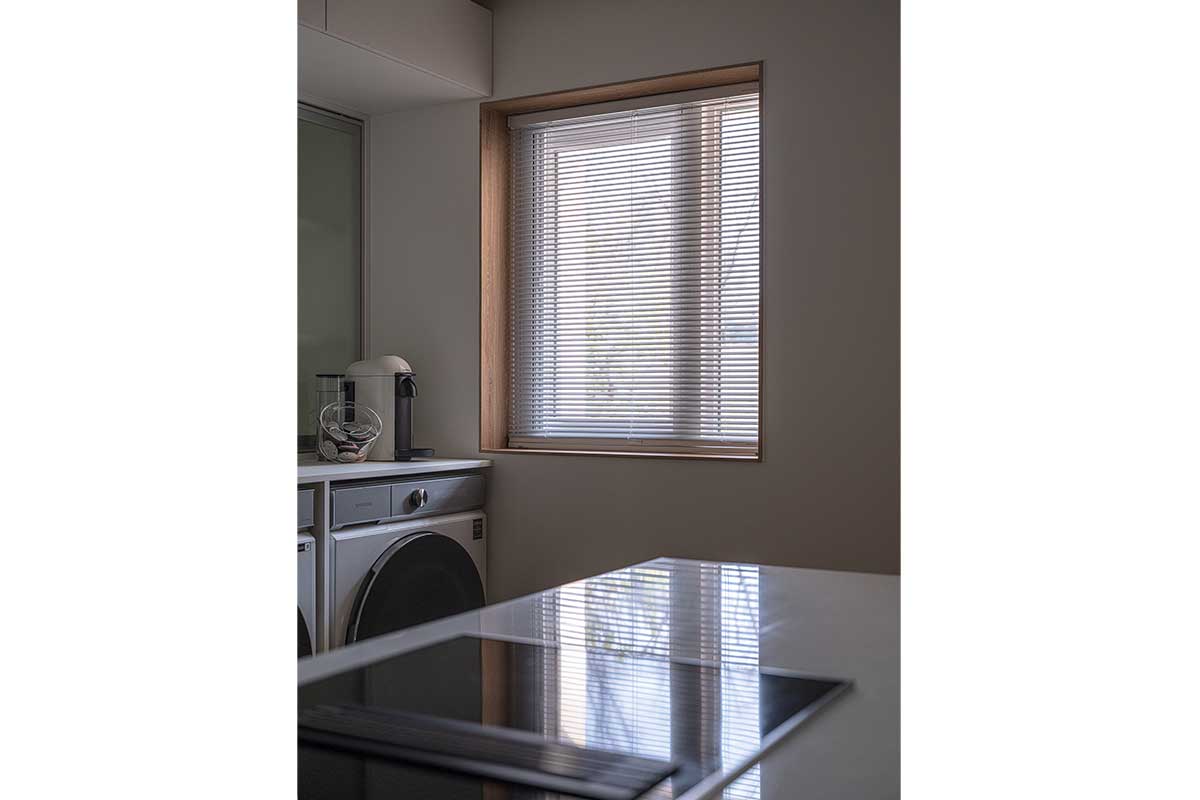 1mm_desgin_detached_house