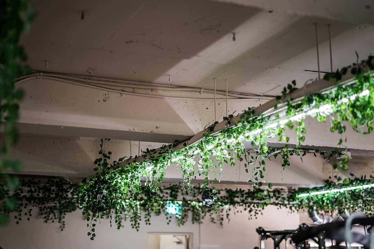 1mm_desgin_forest_gym