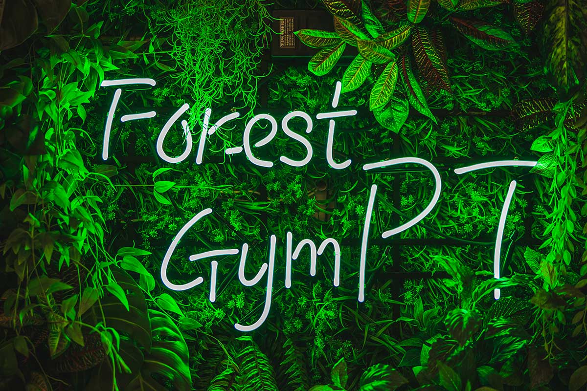 1mm_desgin_forest_gym