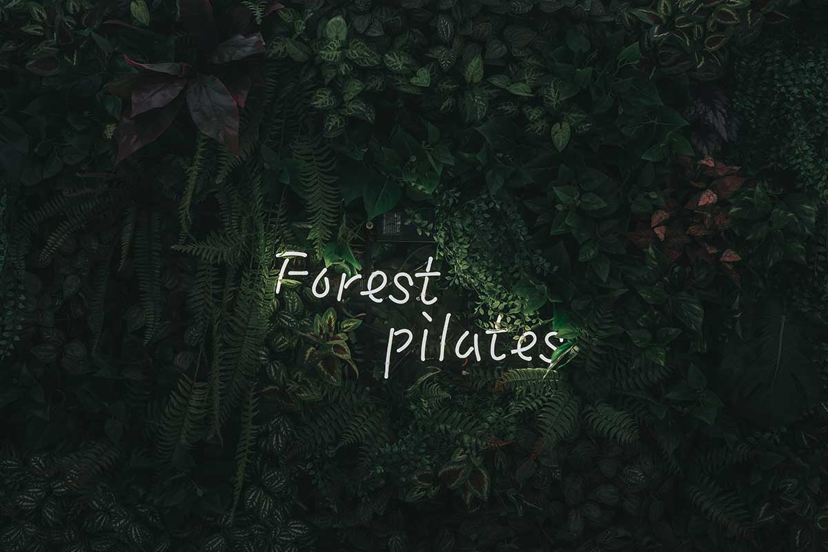 1mm_desgin_forest_pilates