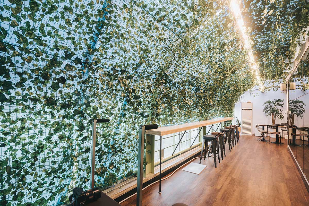 1mm_desgin_forest_pilates